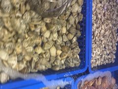 -叁宝烤肉• 西安烧烤(凤城十二路店)
