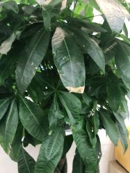 -悦·臻时美发沙龙