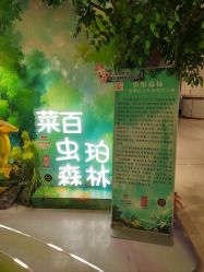 -菜百首饰店(总店)