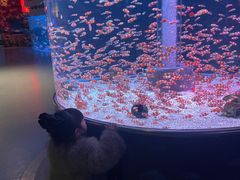 -海合安成都极地海洋公园