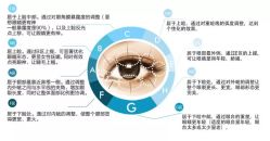 -三只熊皮肤管理中心旗舰店