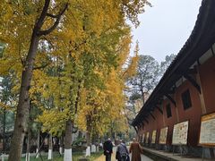 -宝光寺