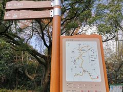 -西湖风景区十里琅珰-五云山