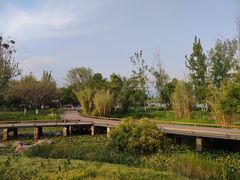 -西昌邛海湿地