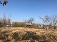 -微山湖红荷湿地景区