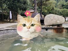 -咸宁万豪温泉谷度假区