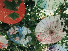 -海韵人家.海景花园经典云南菜(双廊店)