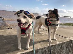 -南汇嘴观海公园