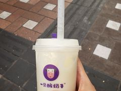-一只酸奶牛(八一路店)