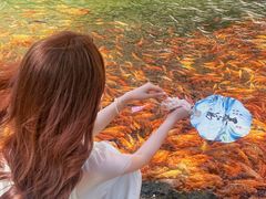 -楠溪江风景名胜区