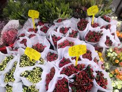 -循礼门鲜花花市(武汉循礼门店)