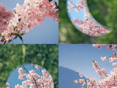 -上海辰山植物园