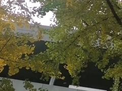 -两江幸福广场