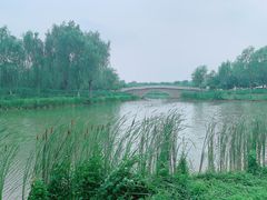 -东郊湿地公园