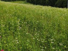 -长白山万达锦华套房酒店