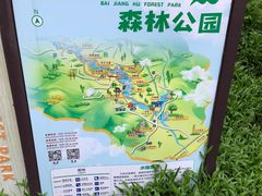 -广州白江湖森林公园