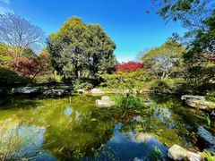 -上海滨江森林公园