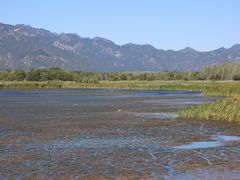 -野鸭湖国家湿地公园
