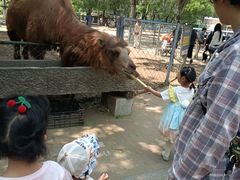 -长白岛森林公园