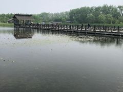 -溱湖国家湿地公园