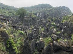 -玉石林风景区