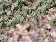 -海棠花溪(元大都城垣遗址公园)