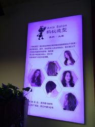 -蚂蚁造型沙龙