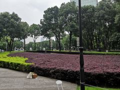 -重庆市江北嘴中央商务区中央公园