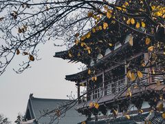 -径山寺