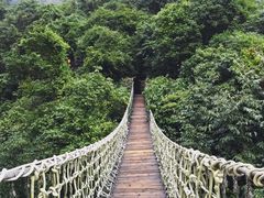 -天门沟九州驿站树上汤泉