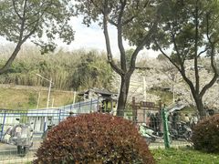 -幕燕滨江·长江观音景区