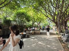 -光明港公园