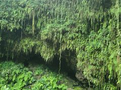 -海口火山口国家地质公园