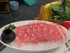 -洪氏嗨捞·猪肚鸡火锅(阳光天地店)