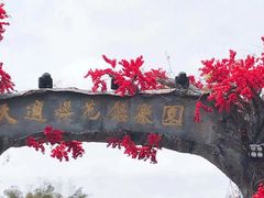 -天适樱花悠乐园