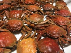 -东方红海鲜百汇(国际大厦店)