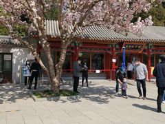 -北海公园-停车场