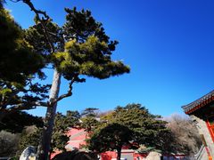 -妙峰山风景名胜区