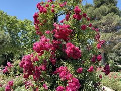 -阿方索十二世纪念碑