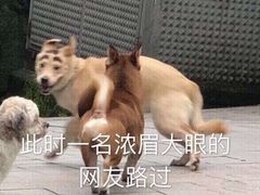 -Miohca缪卡KTV(和平店)