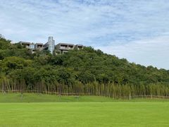 -羊山湖公园