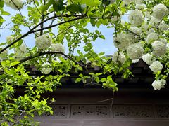 -共和春(凤凰街店)