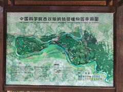 -中国科学院西双版纳热带植物园