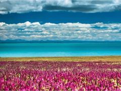 -青海湖国家重点风景名胜区