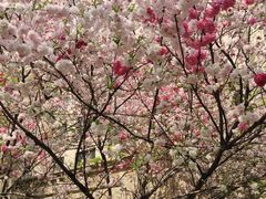 -京谷烘焙店(中国铁建·万科翡翠国际三期店)