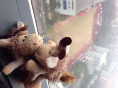 iphone_upload_pic-广州天河希尔顿酒店