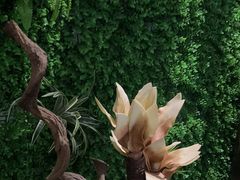 -匠心SPA·养生馆(上海南站店)