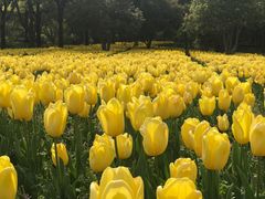 -大宁灵石公园西门票处