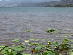 -西昌邛海湿地