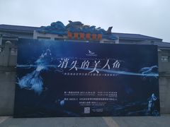 -南京海底世界